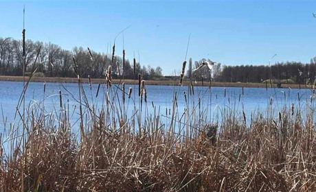 Погода у Старокостянтинові на 6-12 квітня: дощі, похолодання та яким буде Великдень