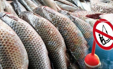 З 1 листопада на Сумщині введено часткове обмеження рибальства