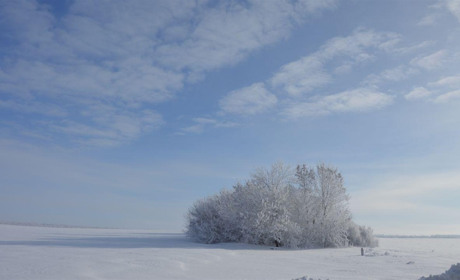 Зима вже на вулицях Сватового: збери з пазлів зимові пейзажі міста