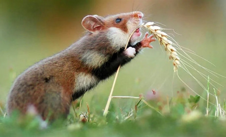 У вівторок на Сумщині дощитиме: прогноз погоди на найближчі дні