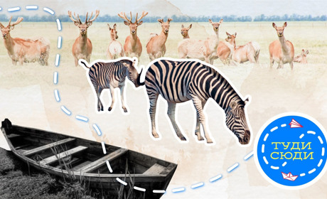 Де відпочити в Україні без натовпів людей