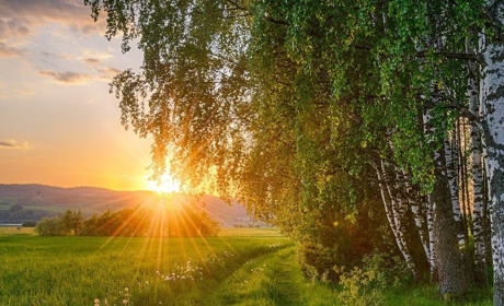 Погода на початку наступного тижня: прогнозують синоптики Сумщини та України