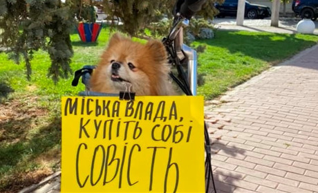 Влада забула, що війна. Білгород-Дністровський долучився до протестів проти недоречних тендерів