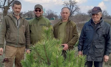 У Залізничному висадили перші сосни в майбутньому парку