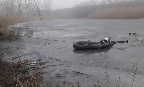 В Попасной из пруда выловили труп мужчины