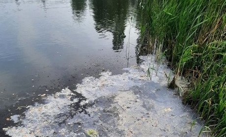 Білі плями на воді Графського озера: звідки вони беруться. Відео
