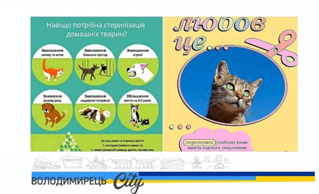 У Вараській і Рафалівській громадах ветлікарі два дні проводитимуть операції по стерилізації тварин