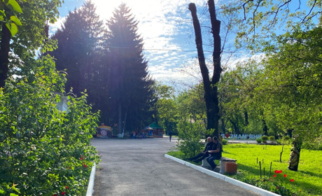 Весна у нашій Знам'янці: фотопідбірка квітучих куточків міста