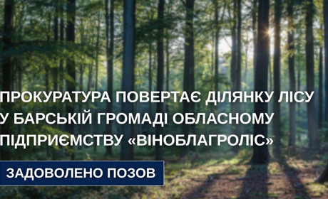 Суд повернув у власність області 5 гектарів лісу в Барській громаді