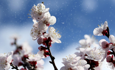 Якою буде погода у Сватовому і районі з 6 по 12 квітня: прогноз на тиждень