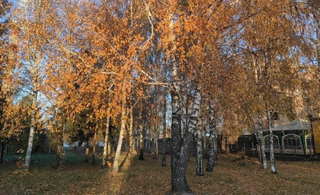 Погода в Старокостянтинові з 25 по 31 жовтня: вночі до "мінусів" і тепла атмосфера вдень