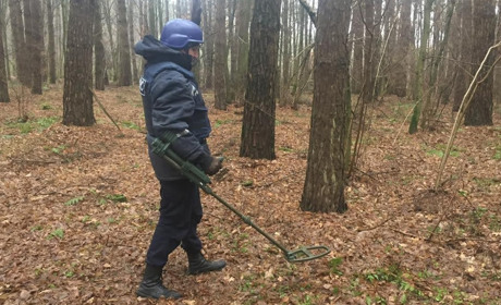 У Вараському районі піротехніки знищили гранату Ф-1 часів Другої світової війни