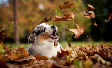 Де завтра трішки похолодає і де пройдуть дощі з грозами: прогноз синоптиків