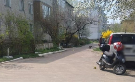 Ведеться слідство дорожньо-транспортної пригоди, під час якої травмувалась 62-річна жінка