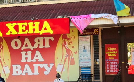 У Переяславі собака заліз на дах будівлі, його знімали рятувальники: ДСНС