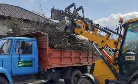 Кожен житель Звягельської громади може безкоштовно здати гілля на полігон ТПВ: подробиці
