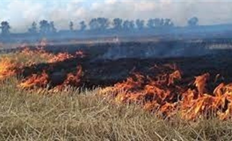 Шановні громадяни, не випалюйте суху торішню траву! Це призводить до руйнування екосистеми