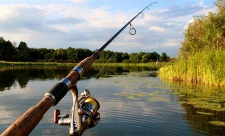 На Одещині з 1 листопада вводять заборону на вилов риби: де саме не можна рибалити