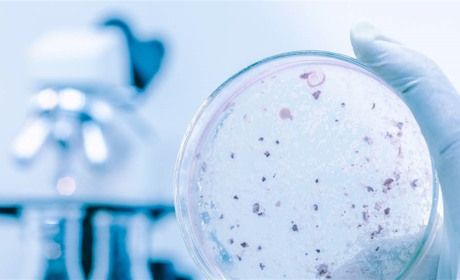 В Україні новий антирекорд захворюваності — місць в лікарнях може не вистачити