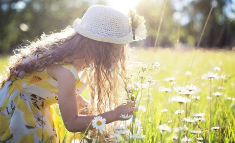 Якою буде погода на Сватівщині у останні дні червня 2021: прогноз з 28 червня по 4 липня