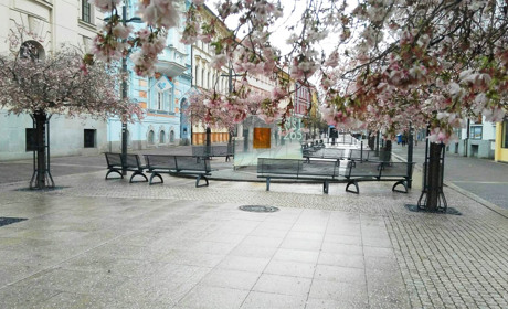 Чехія. Життя у карантині очима нашої землячки, родом з Хиноч