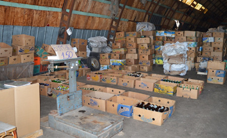 Де в Переяславі приймають різні види відходів на переробку?