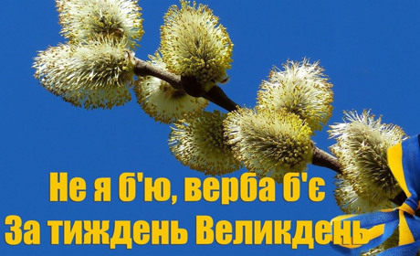 "Не я б'ю – верба б'є": головні традиції та заборони на Вербну неділю 2025