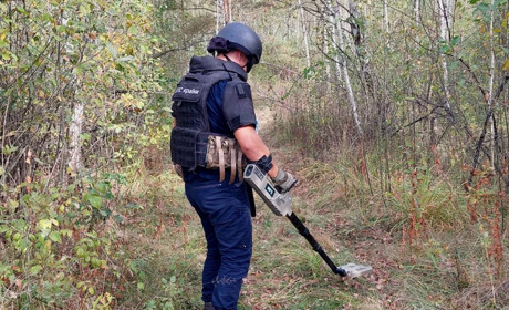 Грибники в лісі на Звягельщині знайшли міну