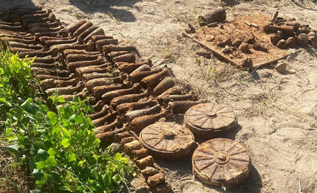 Жінка на Житомирщині копала картоплю, а викопала 82 мінометні міни, 3 протитанкові міни та 8 гранат