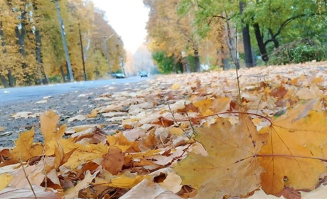 Погода на тиждень: на Гадяччині очікуються дощі зі снігом й зниження температури повітря