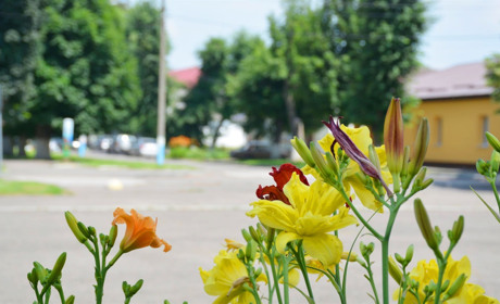 Щоденний дайджест від Золотоноша.City: зустрічаємо новий день – 2 липня 2021 року