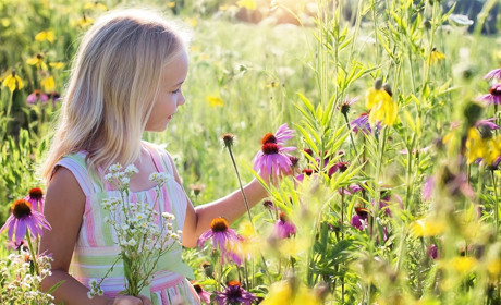 Літо повертається: Якою буде погода у Сватовому і Сватівському районі з 12 по 18 серпня