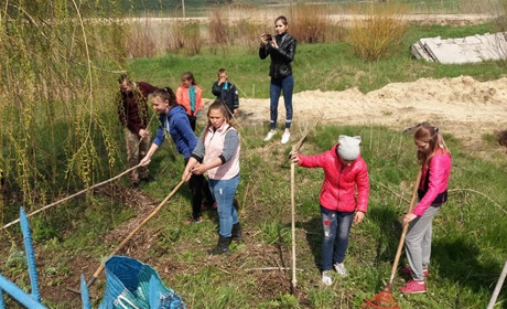 Впорядкували парк, пофарбували лавки, посадили липи: Як у Сватівському районі пройшов День довкілля