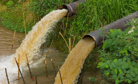 Комунальне підприємство "Теплодарводоканал" завдало шкоду довкіллю на 1 мільйон гривень