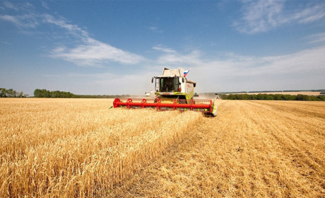 Рятувальники закликають бути обережними з вогнем під час жнив