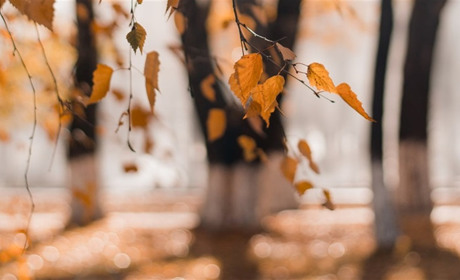 Якою буде погода на Сватівщині з 18 по 24 жовтня 2021: прогноз на тиждень