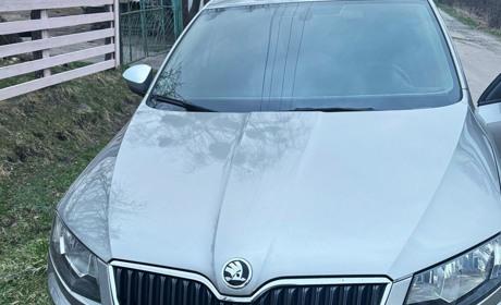 Викрав "Skoda Octavia", щоб підвезти дівчат: на Звягельщині знайшли автовикрадача