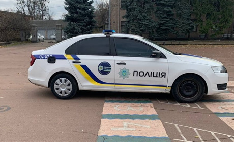 На Переяславщині дерево впало на автомобіль Volvo і пошкодило його: хроніка поліції