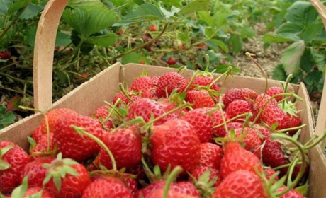 Робота в Польщі: умови праці, вакансії, зарплата