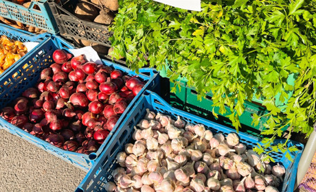 «Урожайний шлях» у Барі: осінній ярмарок на центральній площі (ФОТО)