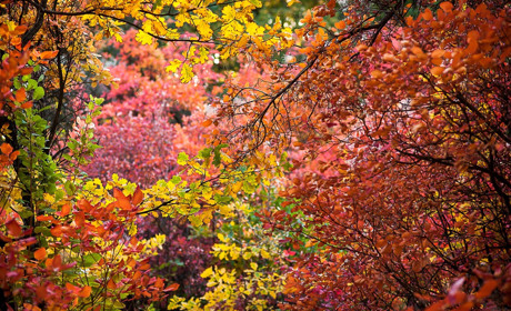 Инста-ревизия: фотоподборка осеннего Торецка