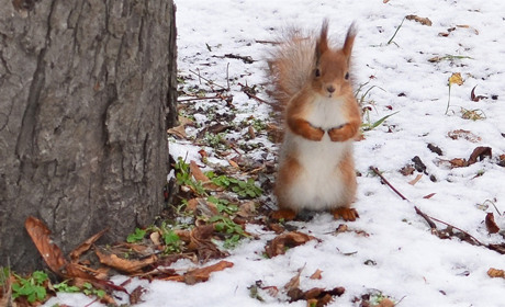 Хмарність, туман, мокрий сніг, дощ та ожеледиця: що прогнозують синоптики на вихідних