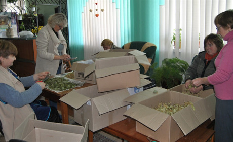 Городоцькі бібліотекарі передали на фронт фруктові чаї і нашоломники. Тепер роблять різдвяні обереги