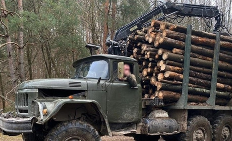 Майстра лісу зі спільниками підозрюються у незаконній порубці дерев на суму понад 2 мільйони