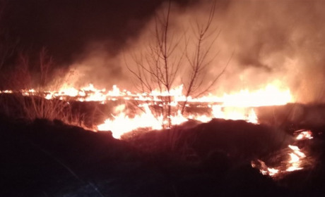 У Городку горів сухостій. Площа загоряння становила 250 квадратних метрів