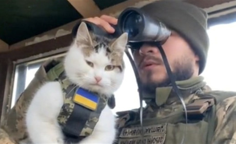 Про кицю, подружні стосунки і довіру: відверта розмова з українським героєм у вечірньому автобусі