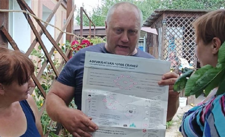 Загроза поширення африканської чуми свиней є у Куп’янському районі