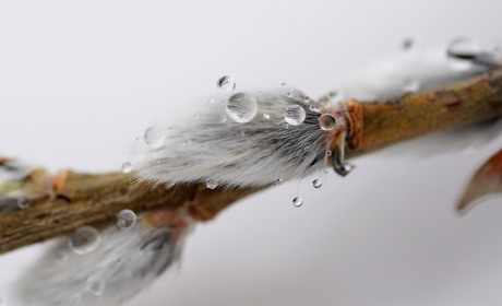 Якою буде погода у Сватовому і районі з 16 по 22 березня 2020 року: прогноз на тиждень