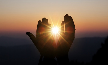 Аурика - значит «золотая». Поможем сохранить жизнь!