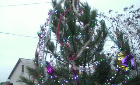 Конкурс «Новорічна історія» завершився